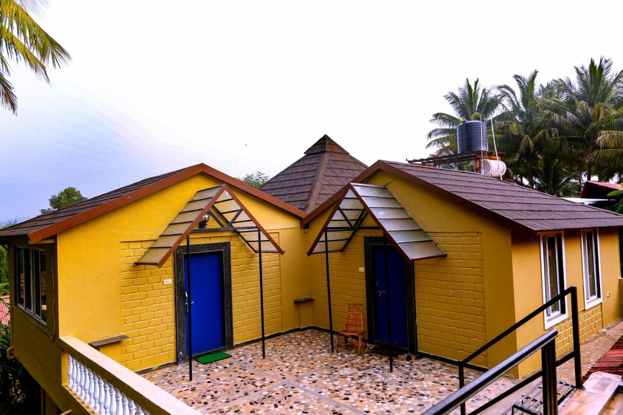 Double Room with Terrace,970234243:JPEG